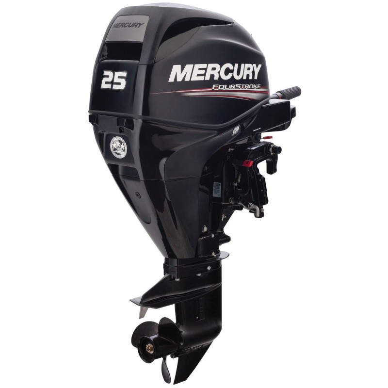 MERCURY HP 25 4 tempi gambo lungo elettrico