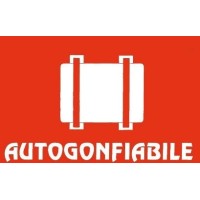 Adesivo Regolamentare Ce "Autogonfiabile" 127 x 80 mm