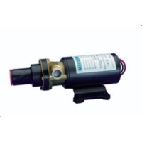 POMPA MACERATRICE 24V