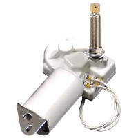 ERGICRISTALLO 20 W 51 MM 24V