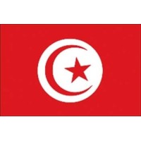 BANDIERA DI CORTESIA "TUNISIA" 20 X 30 CM