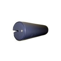 POGGIASCHIENA BLU AD INCASSO PER BATTAGLIOLE